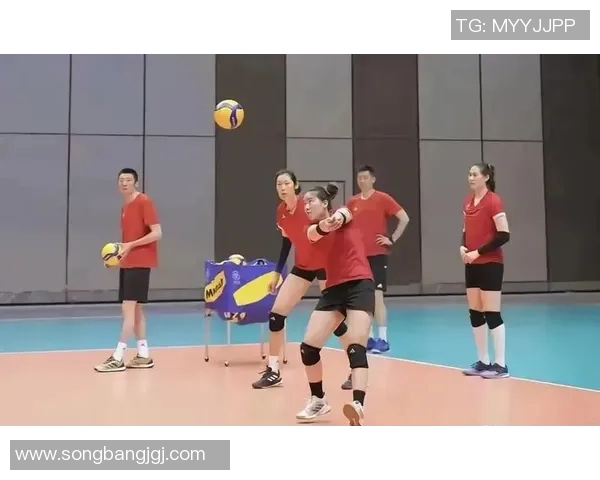 上海乒乓球队节奏争议引发热议球迷观点各异引发广泛讨论