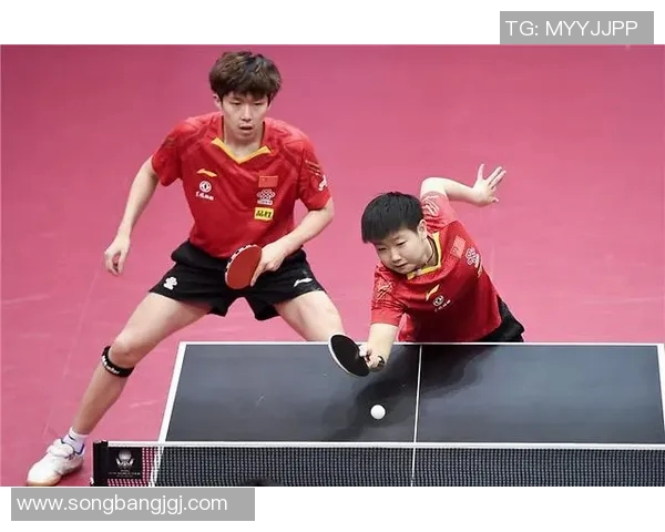 乒乓球精神：北京乒乓球队奋斗历程的真实记录与感悟